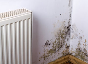 Welsh Government releases new plan to end misery of cold homes