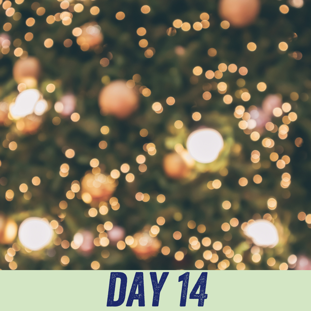 Advent calendar day 14