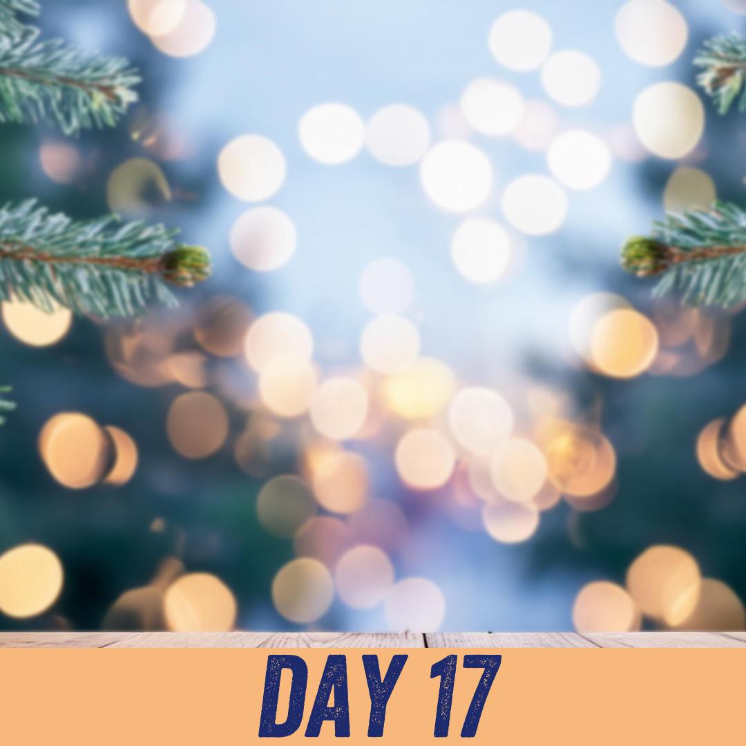 Advent calendar day 17