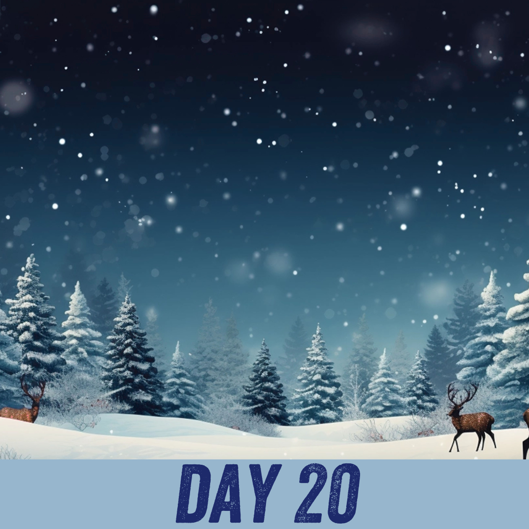 Advent calendar day 20