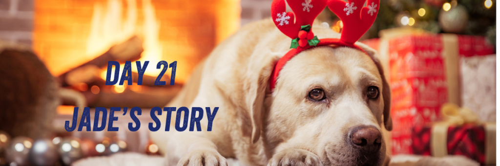 Day 21 Jade's story