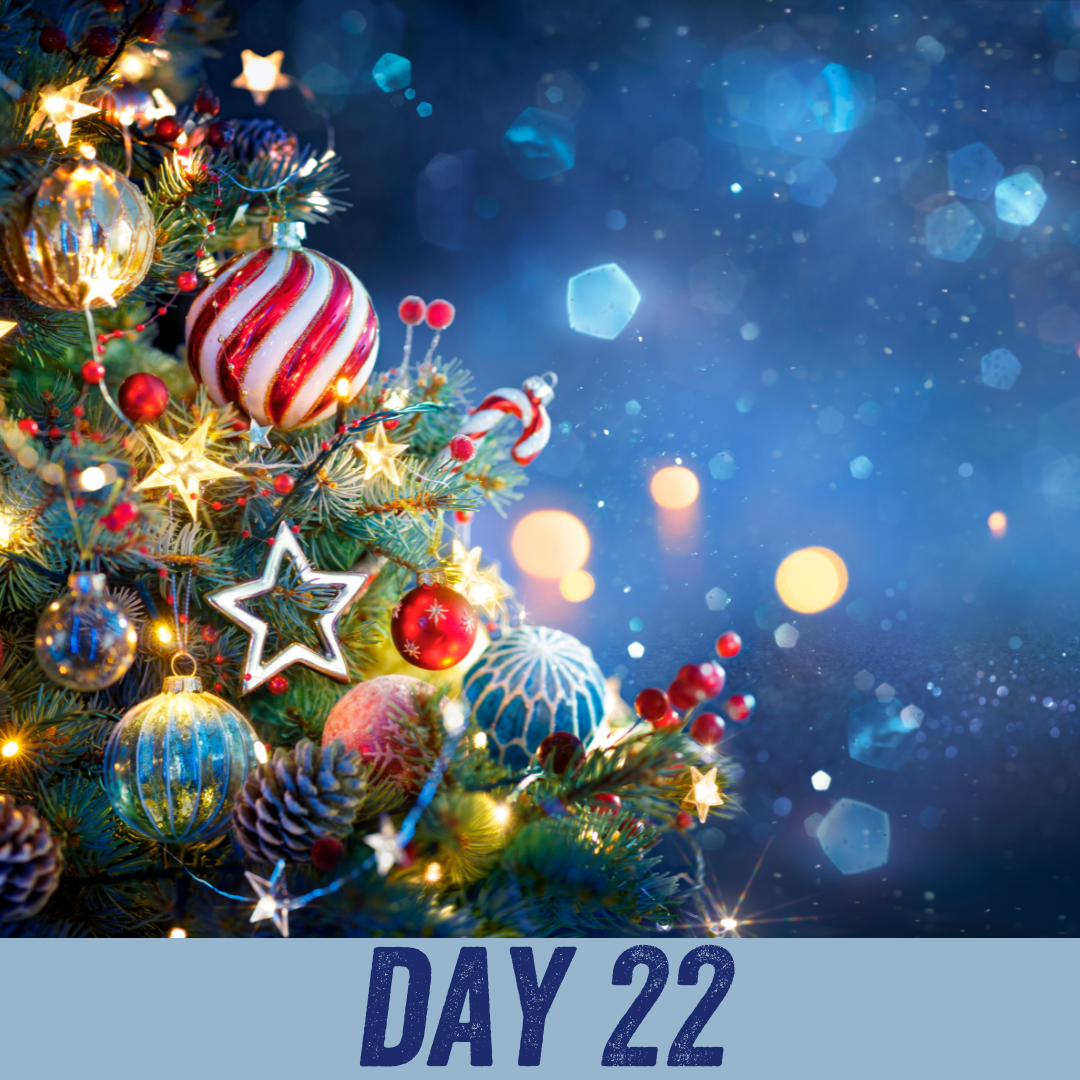 Advent calendar day 22