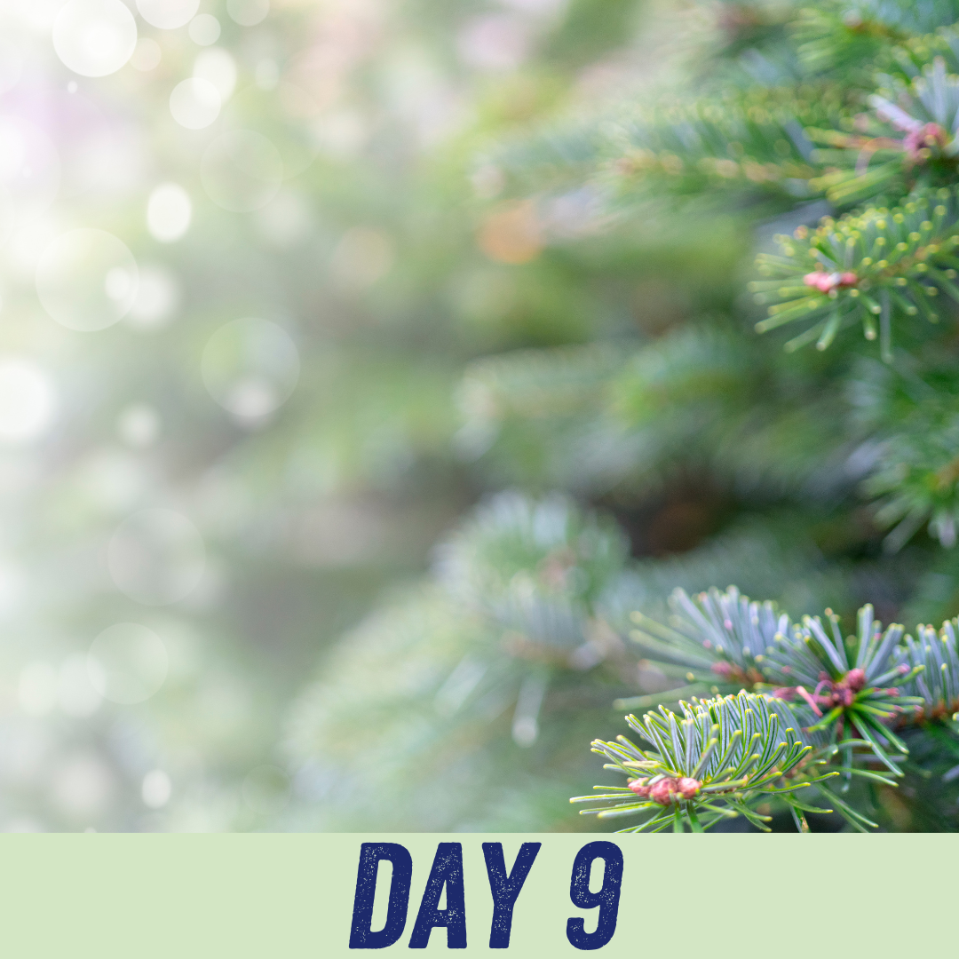 Advent calendar day 9