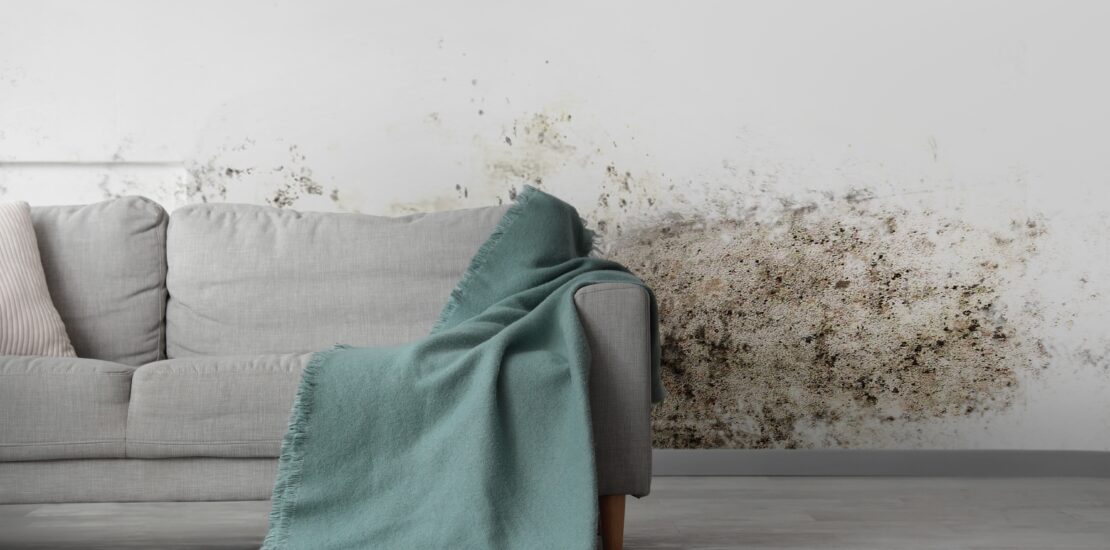 Understanding Fuel Poverty and Health in Northern Ireland: Impacts on Physical and Mental Health