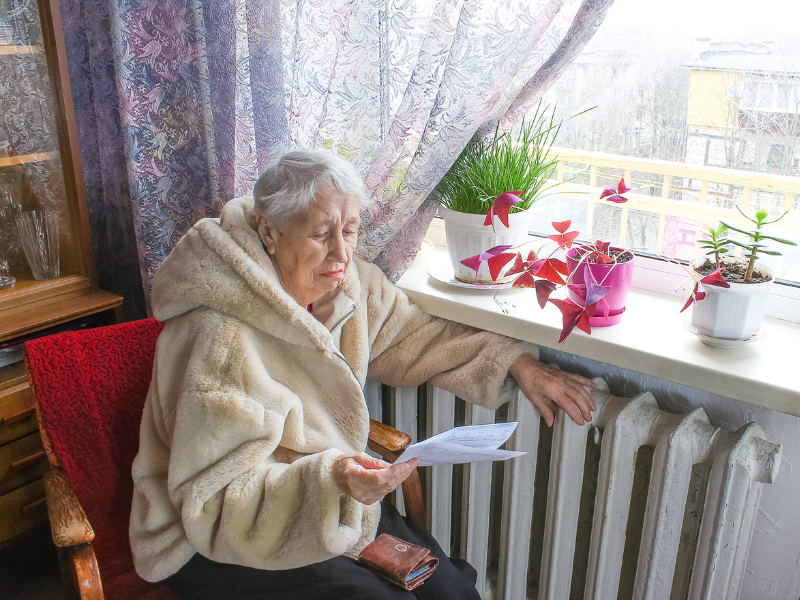 Elderly woman in a cozy fur coat sitting on a chair by a window, reading a letter. Plants adorn the windowsill, creating a quiet, contemplative mood.